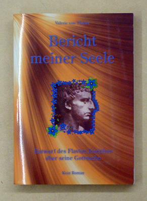 Bericht meiner Seele