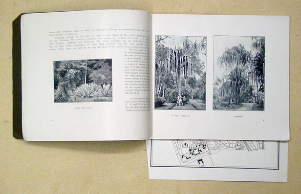 Guide to the Botanic Gardens, Buitenzorg