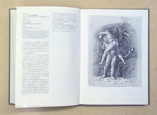 Italian Renaissance Prints from the Swiss Federal Institute of Technology Zurich