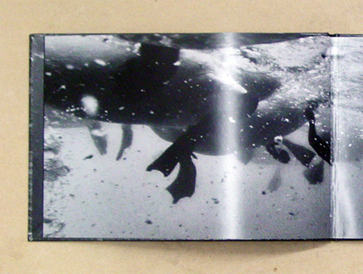 Caspar unter Wasser. Caspar Under Water