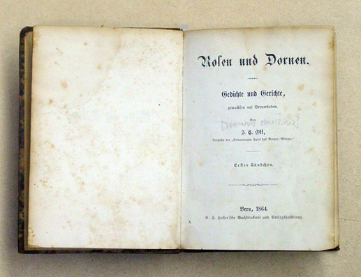 Rosen und Dornen