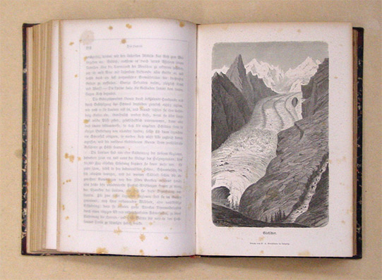 Die Alpen, in Natur- und Lebens-Bildern- Dargestellt von H. A. Berlepsch