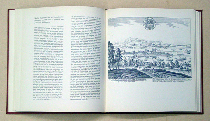 Das alte Rapperswil und seine Landschaft im Bilde