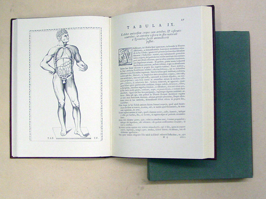 Tabulae Anatomicae