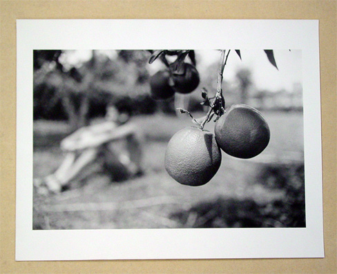 Two Oranges DR 1997