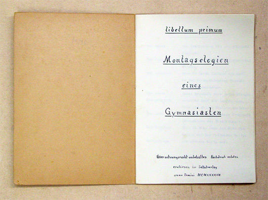 Montagselegien eines Gymnasiasten. [Auf Vorderdeckel: Gesammelte Werke, Band I. Rund um die Lümmelburg]