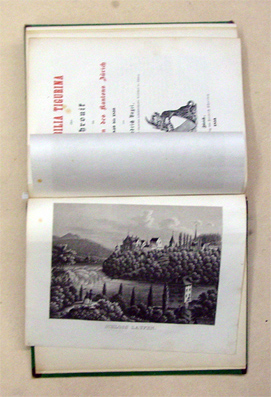 Memorabilia Tigurina oder Chronik der Denkwürdigkeiten des Kantons Zürich, 1840 - 1850