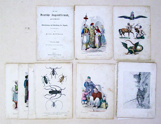 [Konvolut von 34 gestochenen Taf. (davon 10 koloriert) aus «Der neue Deutsche Jugendfreund. Zeitschrift für Unterhaltung und Veredlung der Jugend», Jahrgang 1850]