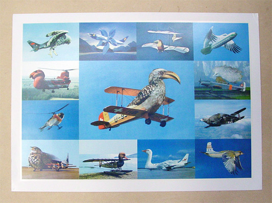 Vogelflieger