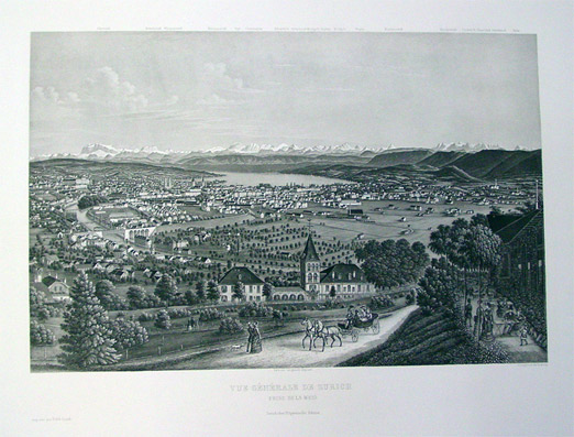 Vue général de Zurich prise de la Weid