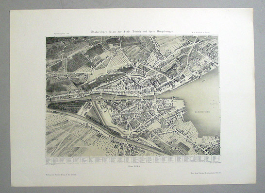 Malerischer Plan der Stadt Zürich und ihrer Umgebungen