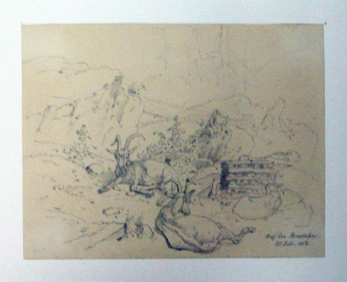 Auf der Brostalpe 25 Juli , 1852