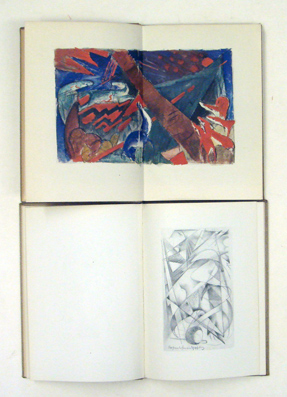 Briefe, Aufzeichnungen und Aphorismen. (2 Bde., compl.)