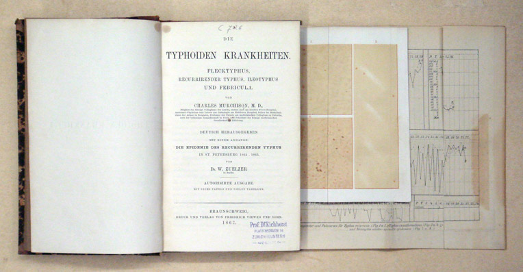 Die typhoiden Krankheiten