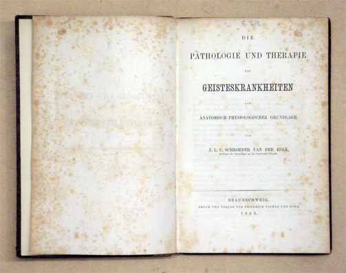 Die Pathologie und Therapie der Geisteskrankheiten auf anatomisch-physiologischer Grundlage