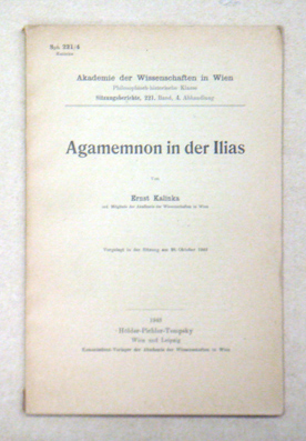 Agamemnon in der Ilias