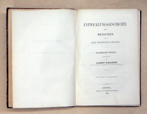 Entwicklungsgeschichte des Menschen und der höheren Thiere. Akademische Vorträge