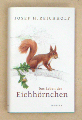 Das Leben der Eichhörnchen