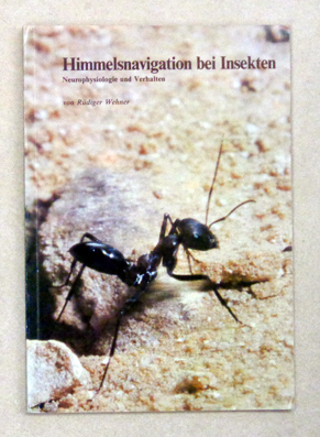Himmelsnavigation bei Insekten