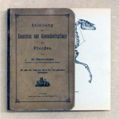 Anleitung zur Kenntniss [Kenntnis] und Gesundheitspflege des Pferdes