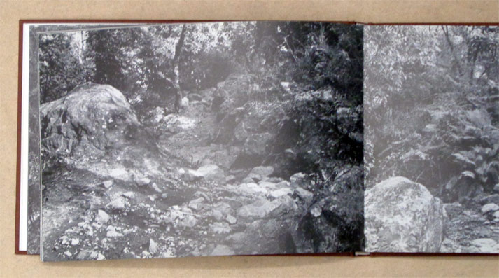 Richard Long. Countless Stones