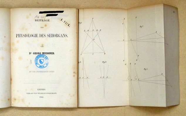 Beiträge zur Physiologie des Sehorgans