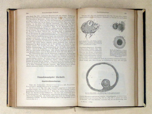 Das Mikroskop und die mikroskopische Technik. Ein Handbuch für Ärzte und Studirende