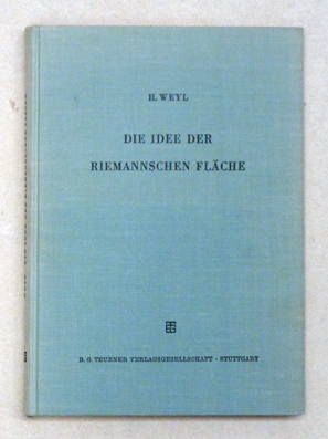 Die Idee der Riemannschen Fläche