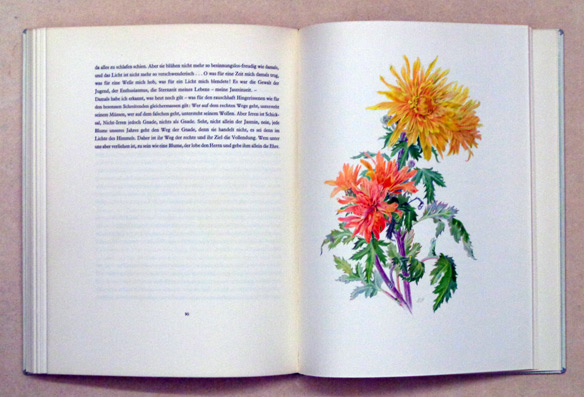 Das Blumenjahr