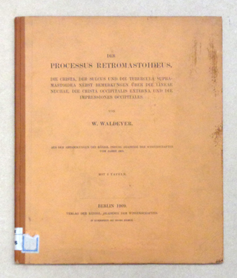 Der Processus retromastoideus