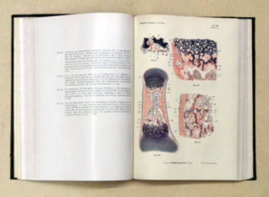 Lehrbuch der Histologie und Histogenese