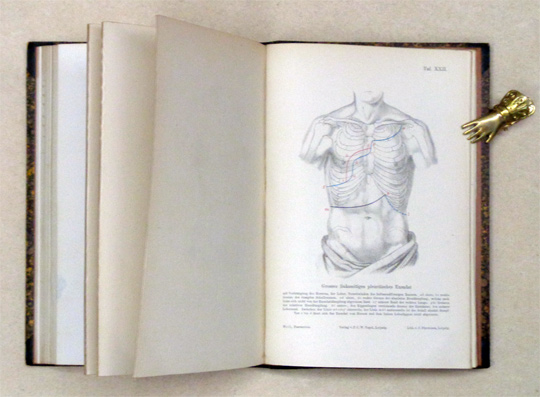 Handbuch und Atlas der topographischen Percussion