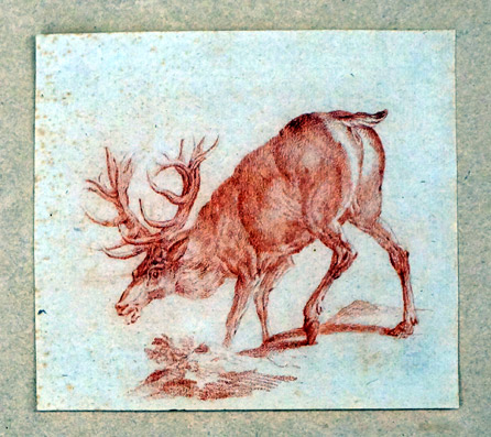 Äsender Hirsch