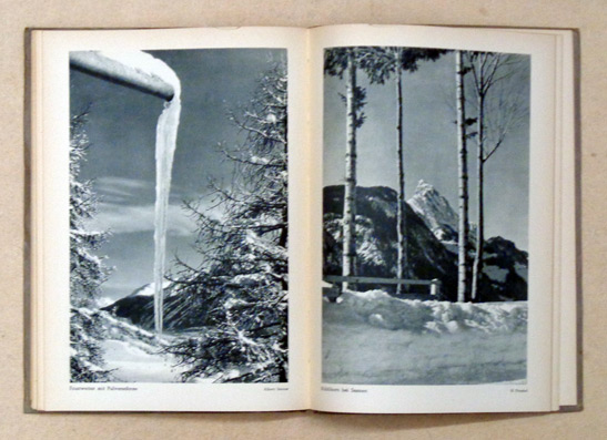 Jahrbuch 1935. Annuaire 1935. Annuario 1935
