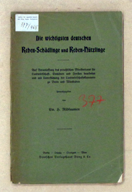 Die wichtigsten deutschen Reben-Schädlinge und Reben-Nützlinge