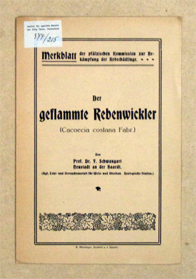 Der geflammte Rebenwickler (Cacoecia costana Fabr.)