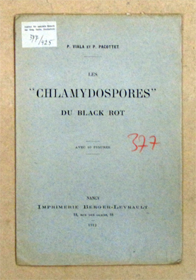 Les «chlamydospores» du Black Rot