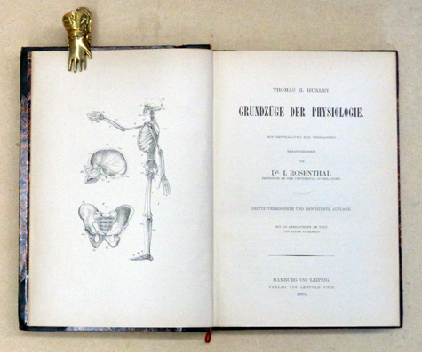 Grundzüge der Physiologie