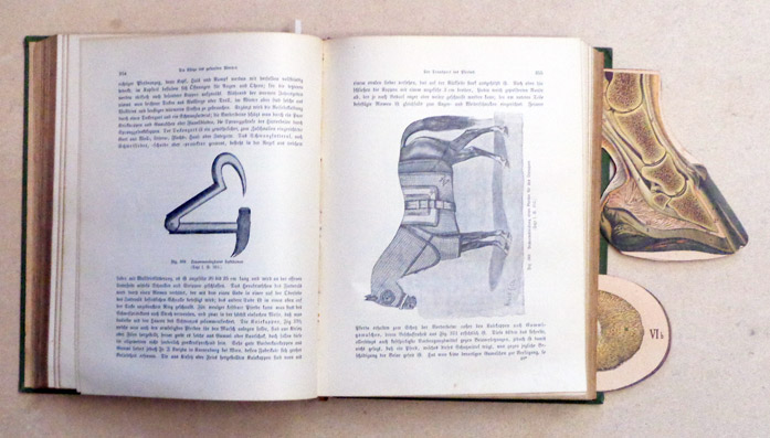 Das Pferd. Ein Handbuch über Bau, Pflege, Zucht, Hufbeschlag und Krankheiten des Pferdes, sowie ein ausführlicher Ratgeber übe den Reit- und Fahrsport