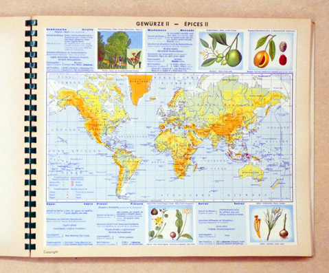 Pflanzengeographischer Welt-Atlas