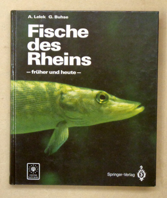 Fische des Rheins - früher und heute