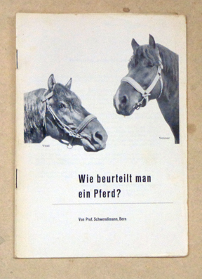 Wie beurteilt man ein Pferd?
