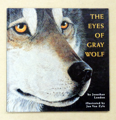 The Eyes of Gray Wolf