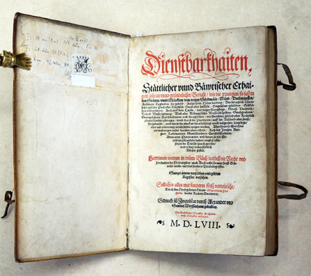Dienstbarkeiten, Stättlicher unnd Bäwrischer Erbaigen gütter unnd gründtlicher Bericht, wie die irrungen, so sich in den Stätten unnd  Märckten von wegen Schidmäür, Wänd, Dachtropffen [...] vor Gerichten gütlich oder Rechtlich züendtschaiden zütragen [...