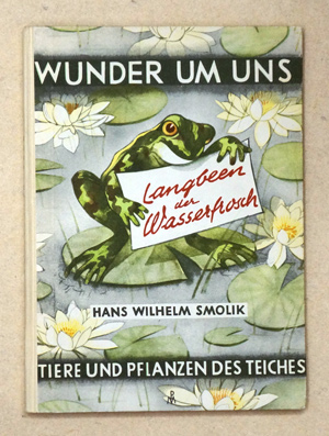 Langbeen der Wasserfrosch