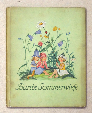 Bunte Sommerwiese