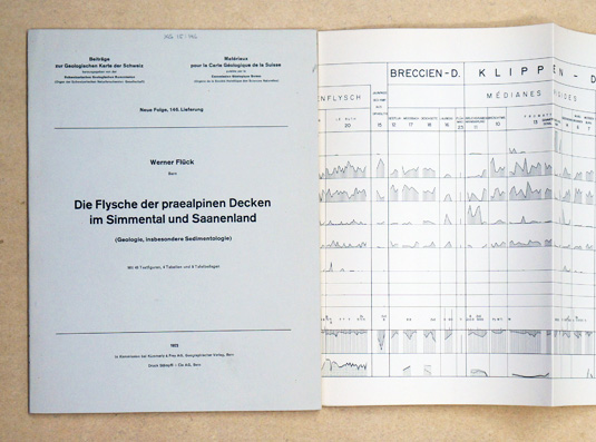 Die Flysche der praealpinen Decken im Simmental und Saanenland (Geologie, insbesondere Sidimentologie)