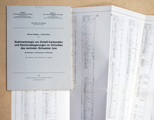 Sedimentologie von Schelf-Carbonaten und Beckenablagerungen im Oxfordien des zentralen Schweizer Jura.