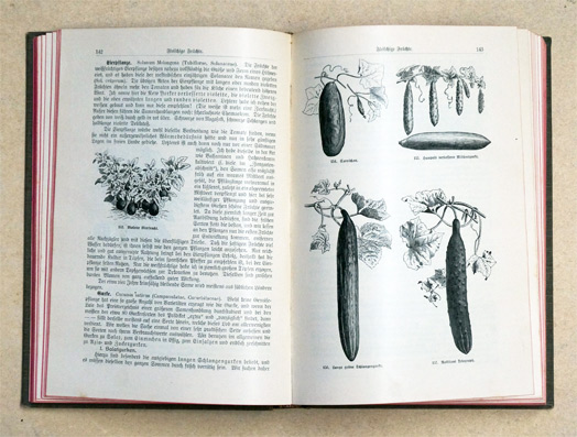 Allgemeines Illustriertes Gartenbuch. Praktische Anleitung zur Anlage und Pflege des Zier- und Zimmergartens, des Gemüse- und Obstgartens für Gartenfreunde und Gärtner.