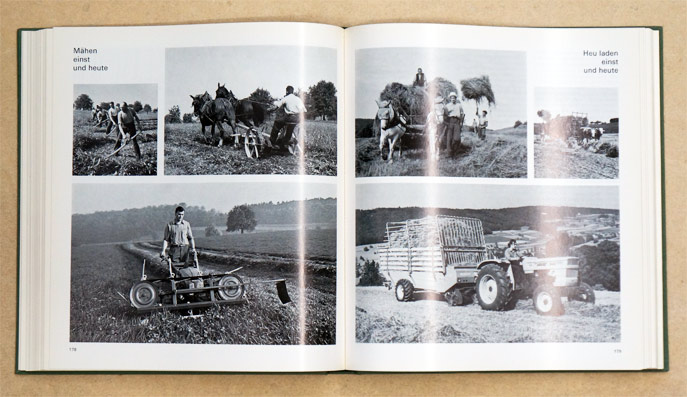 Landwirtschaft im Industriekanton. Die zürcherische Landwirtschaft.